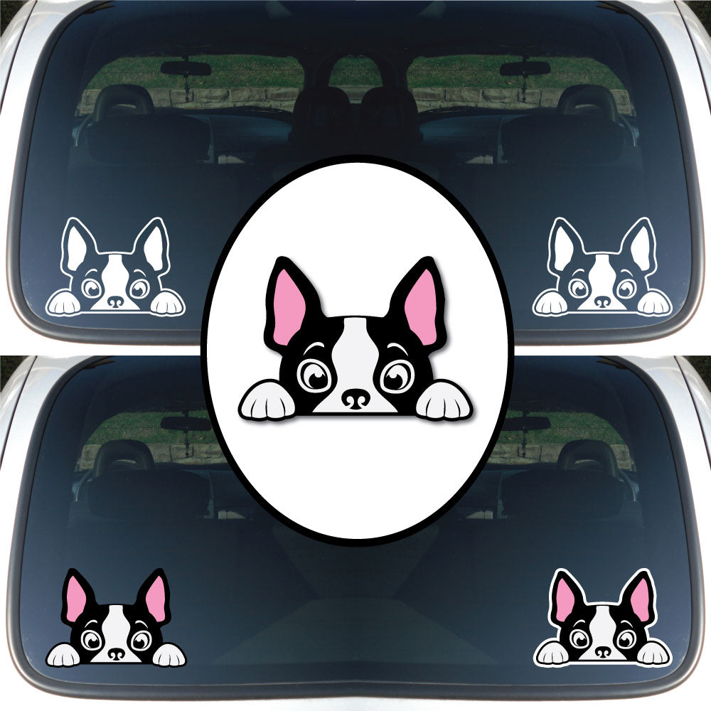 Peeking Boston | Car/Truck Sticker, Automotive Decals, Car Bling Stickers and Decals, Pet Cat Dog Decal for Window