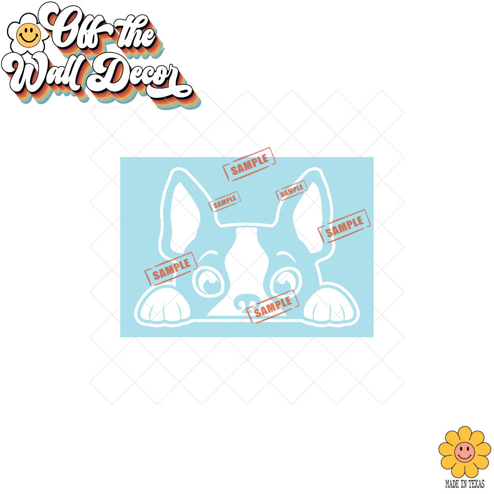 Peeking Boston | Car/Truck Sticker, Automotive Decals, Car Bling Stickers and Decals, Pet Cat Dog Decal for Window
