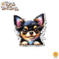 Peeking Long Hair Chihuahua | Car/Truck Sticker, Automotive Decals, Car Bling Stickers and Decals, Pet Cat Dog Decal for Window