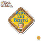 Little Zoro | Suction Cup OR Magnet