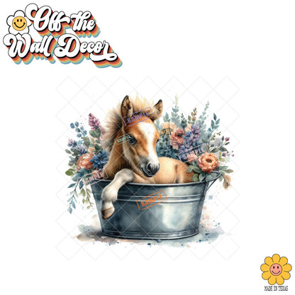 Adorable Horse in Tub