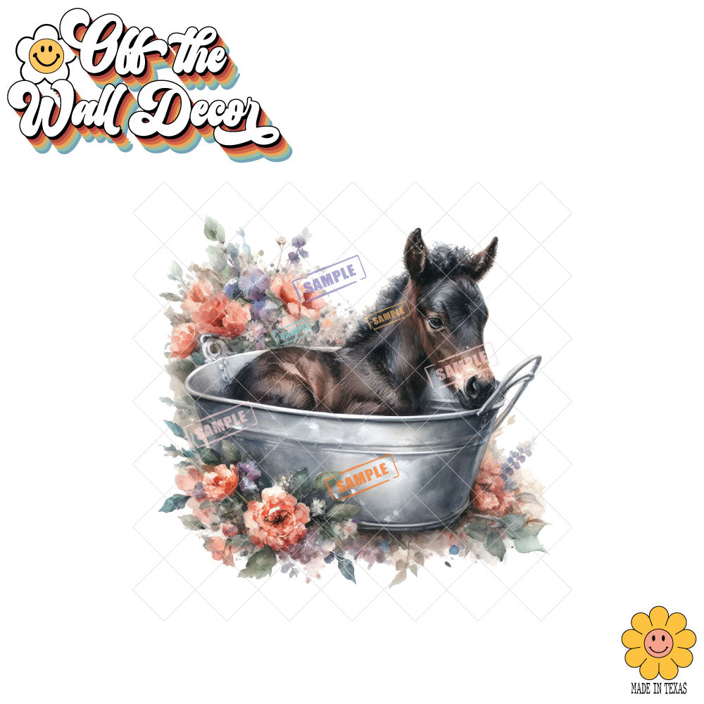 Adorable Horse in Tub